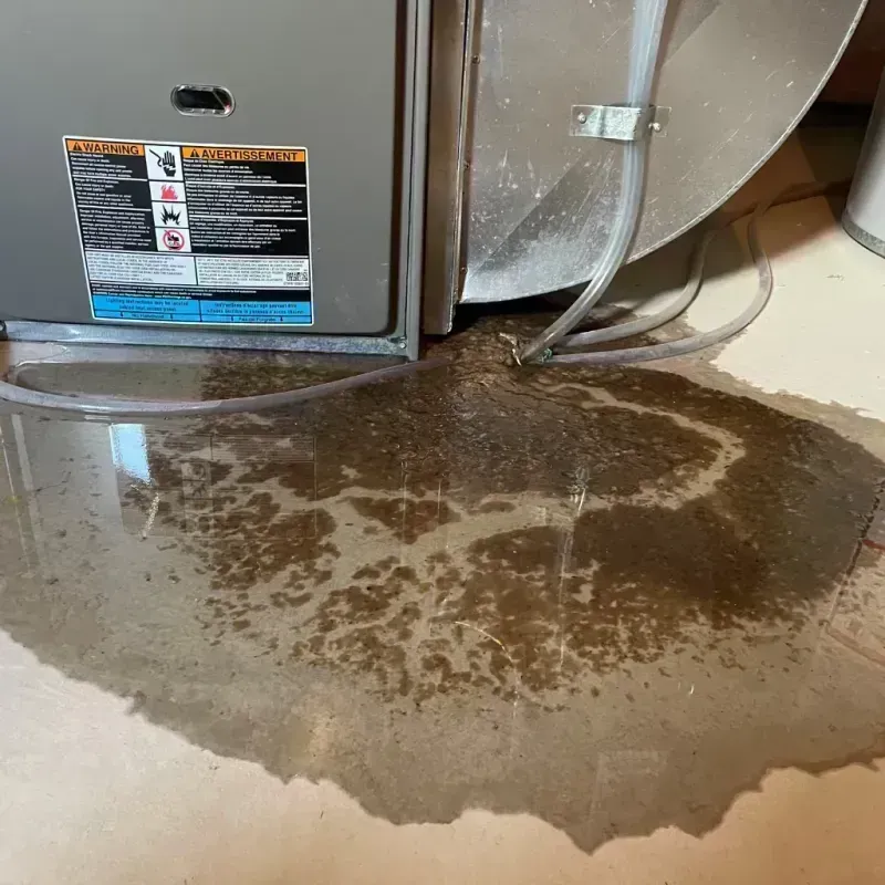 Appliance Leak Cleanup in Mount Airy, GA